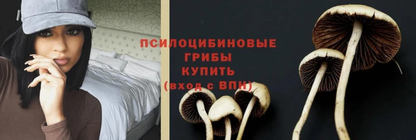 герыч Ростов