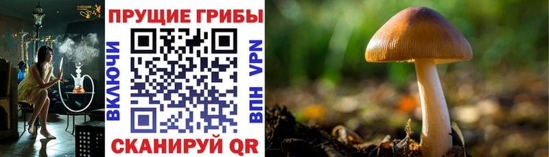 маркетплейс клад дарнет шоп Теберда Галлюциногенные грибы мухоморы