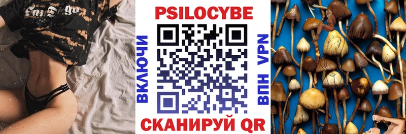 Галлюциногенные грибы Psilocybe Теберда