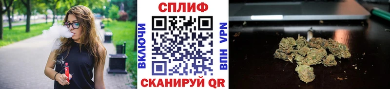 Бошки марихуана индика  продажа наркотиков  Теберда 